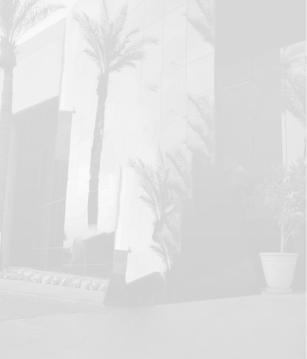 AVNET Background